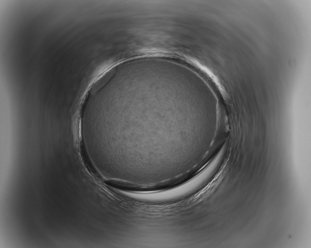 X0000097871365200803211306