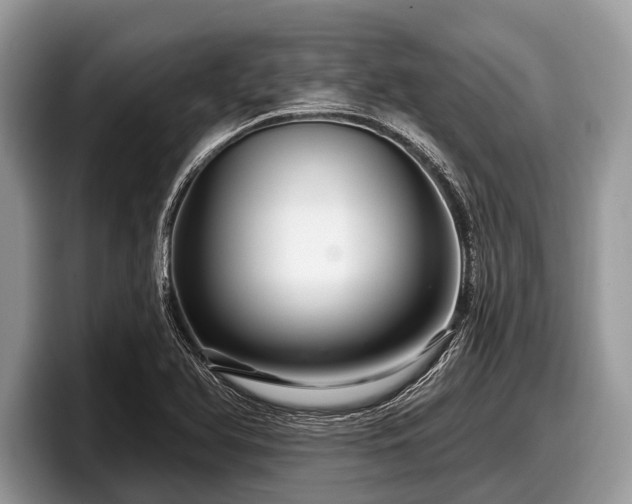 X0000097871366200803211306
