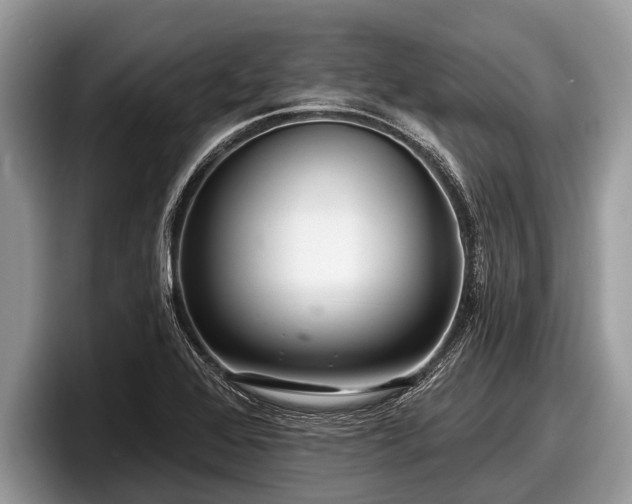 X0000097871368200803211306