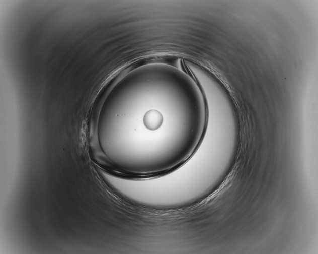 X0000097871369200803211306
