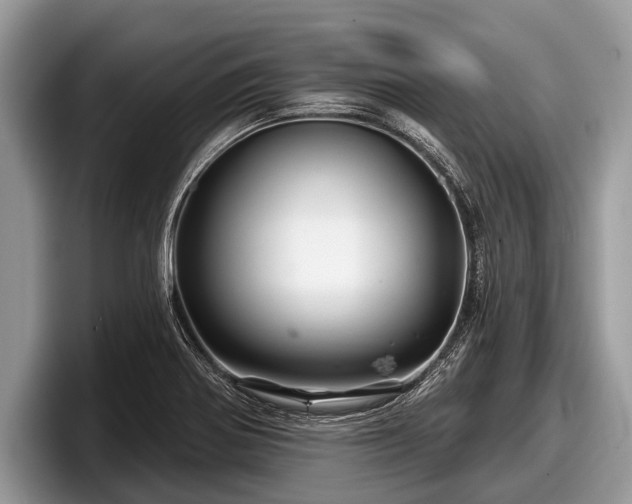 X0000097871370200803211306