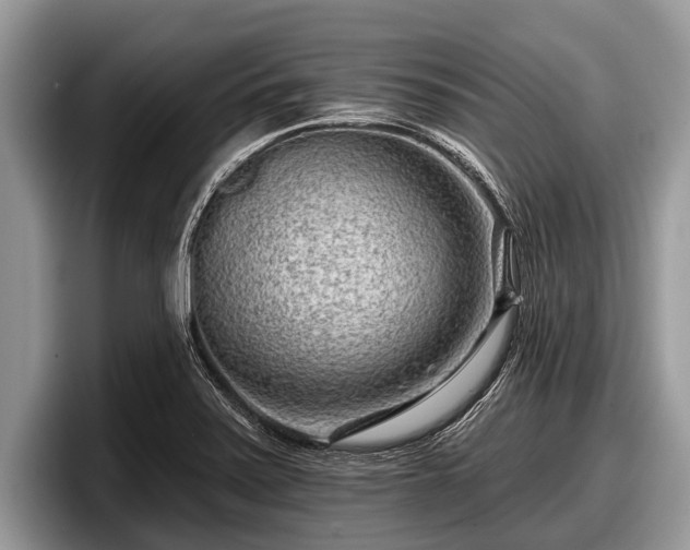 X0000097871371200803211306