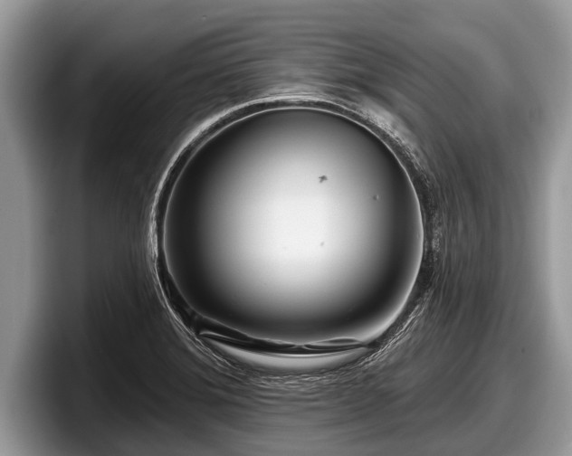 X0000097871372200803211306