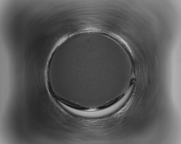 X0000097871373200803211306