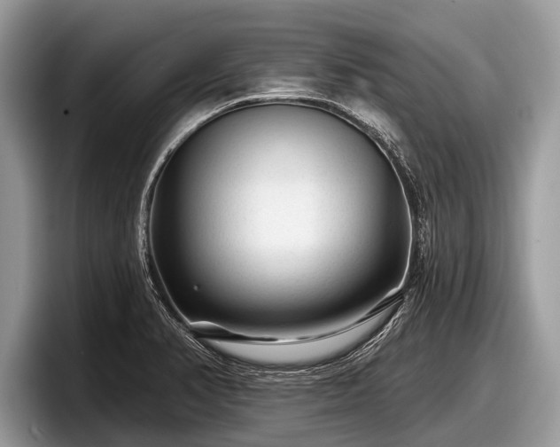X0000097871374200803211306