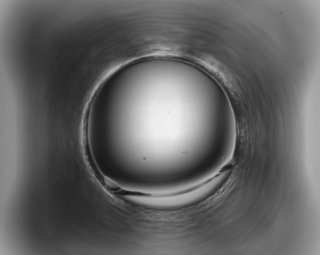 X0000097871375200803211306