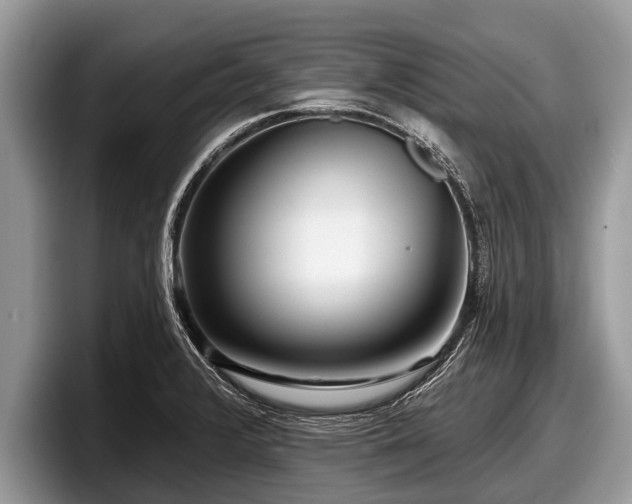 X0000097871376200803211306