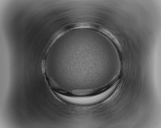 X0000097871377200803211306