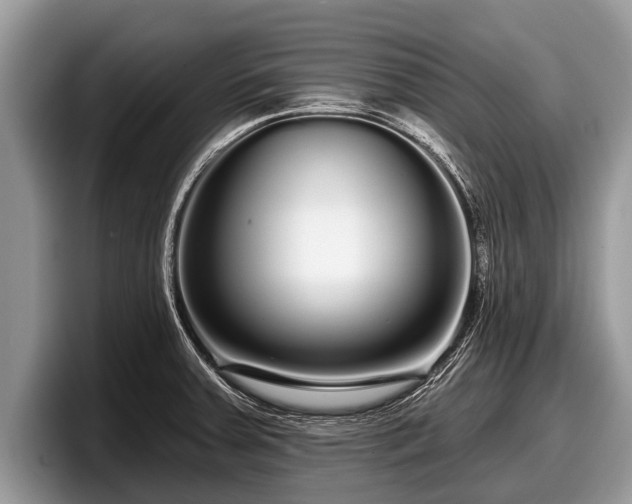 X0000097871379200803211305
