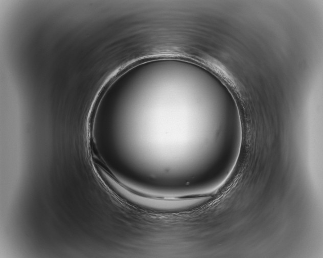 X0000097871380200803211305