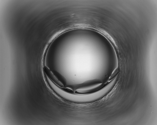 X0000097871381200803211305
