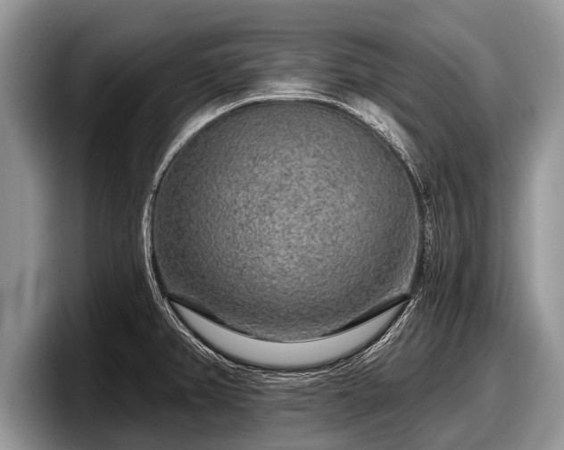 X0000097871382200803211305
