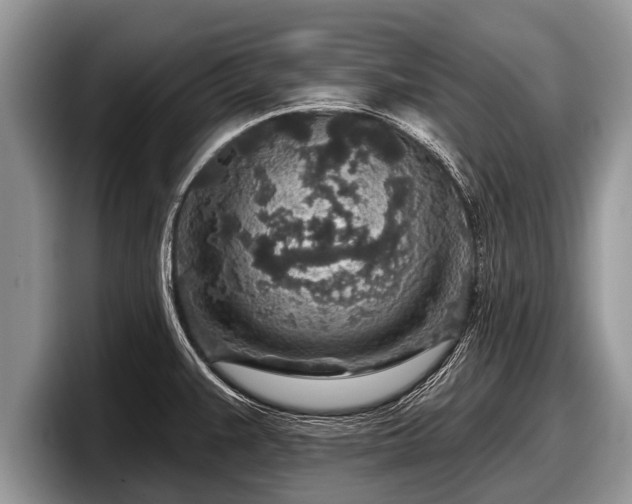 X0000097871383200803211305