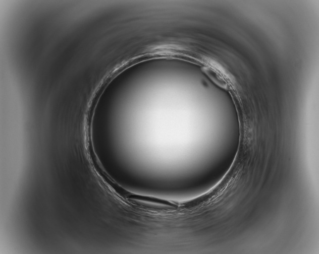 X0000097871384200803211305