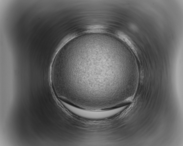 X0000097871386200803211305