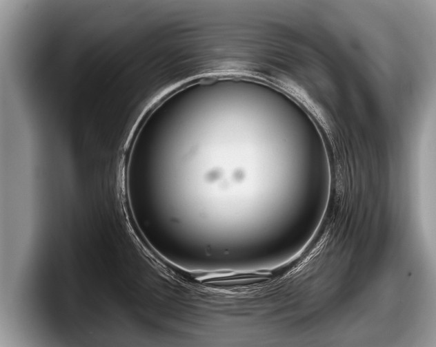 X0000097871388200803211305