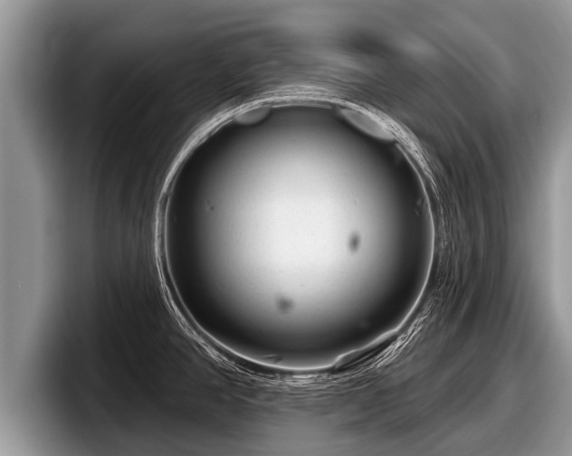 X0000097871390200803211305