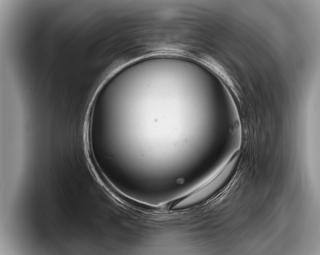 X0000097871391200803211305