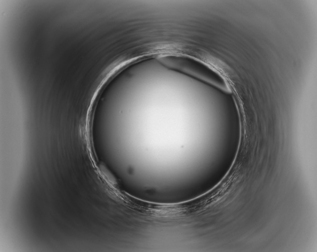 X0000097871392200803211305