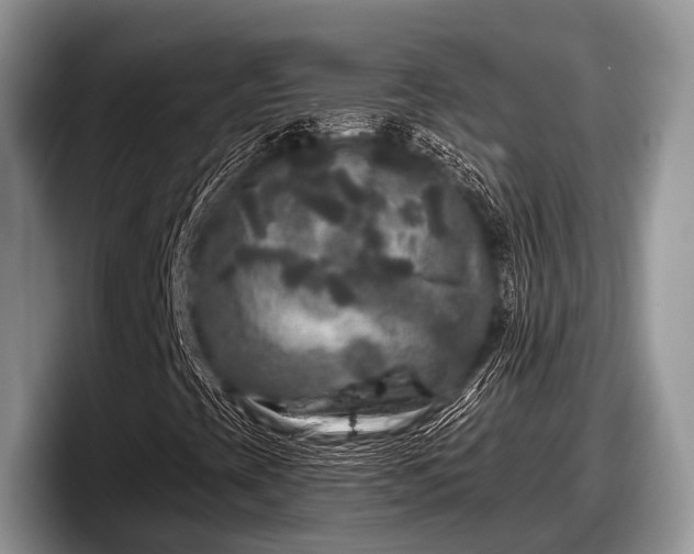 X0000097871393200803211305