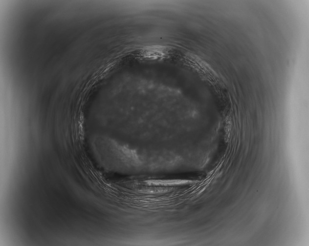 X0000097871394200803211305