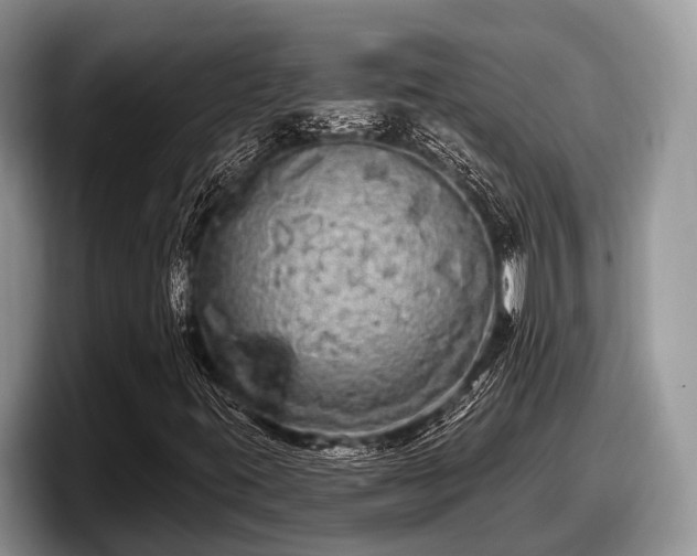 X0000097871395200803211305
