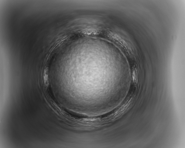 X0000097871396200803211305