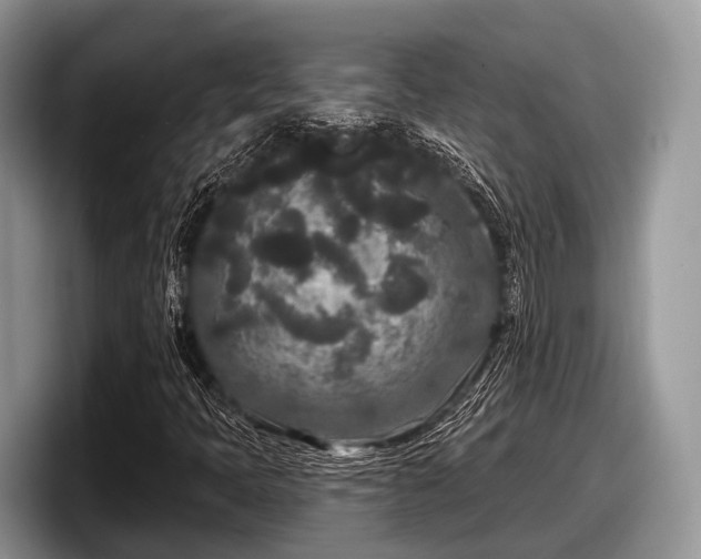 X0000097871397200803211305