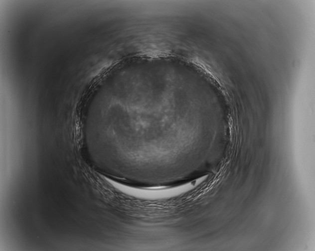 X0000097871398200803211305