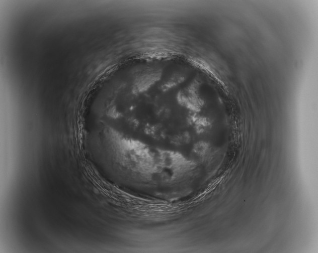 X0000097871399200803211305