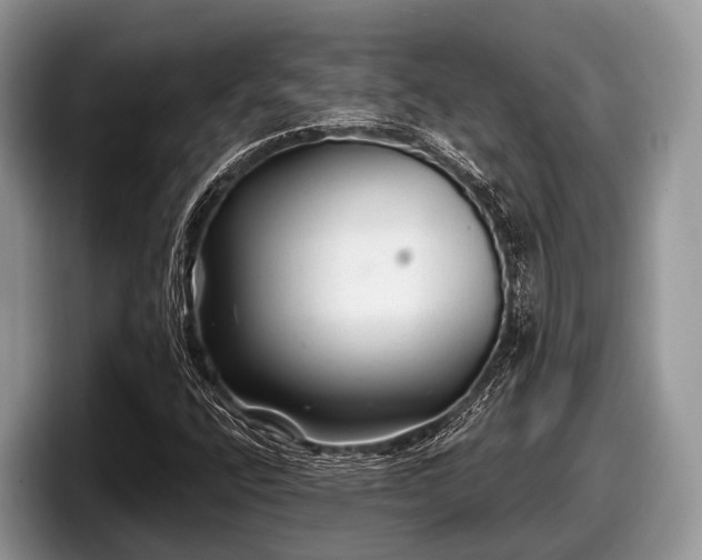 X0000097871400200803211305