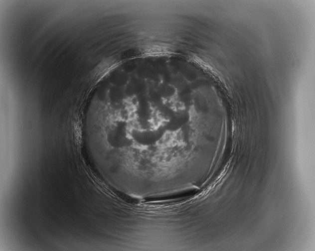 X0000097871401200803211305