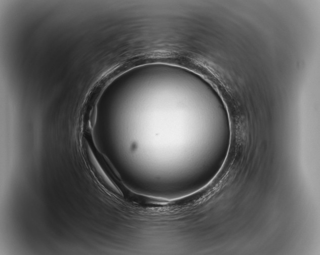 X0000097871402200803211305