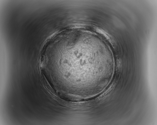 X0000097871403200803211305