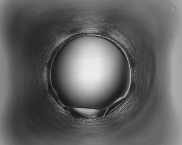 X0000097871404200803211305