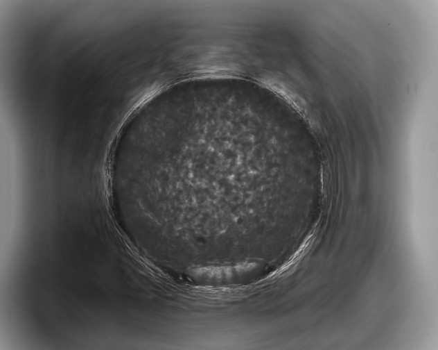 X0000097871405200803211305
