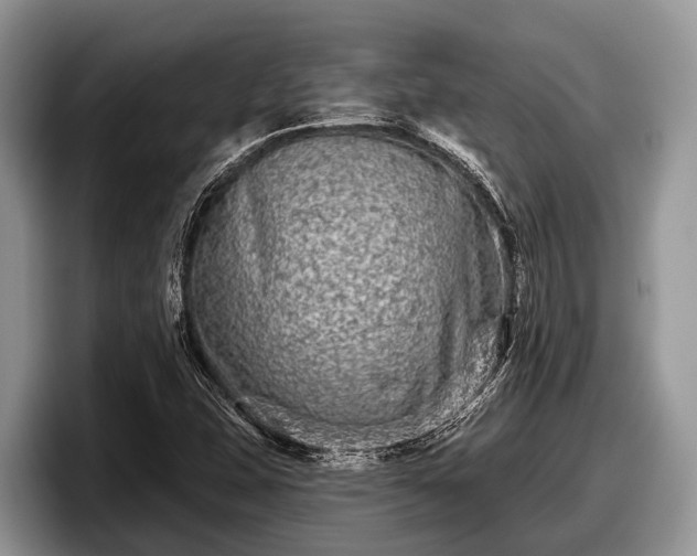 X0000097871407200803211305