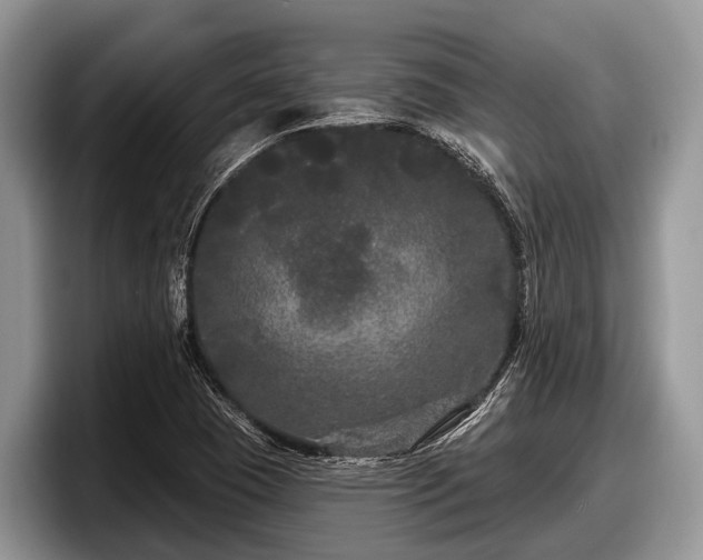 X0000097871409200803211305