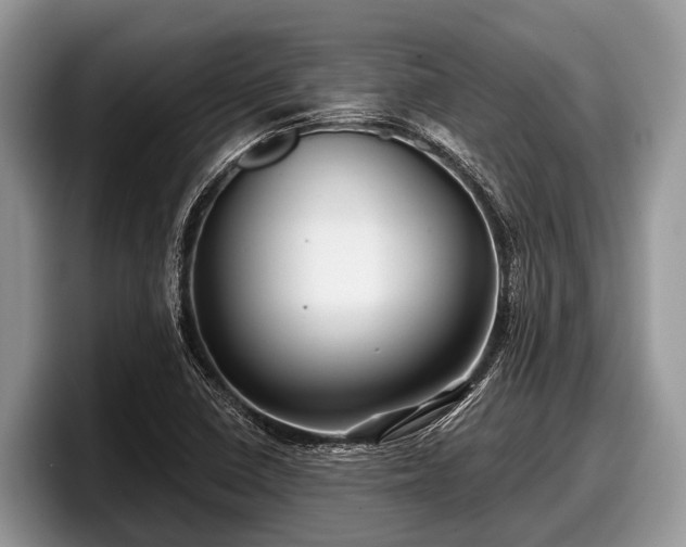 X0000097871410200803211305
