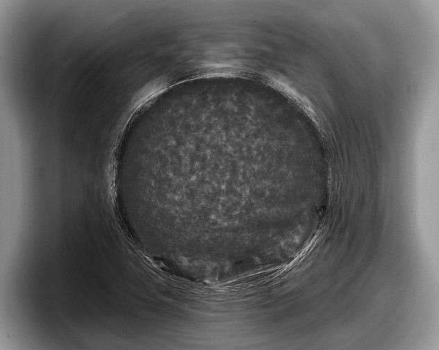 X0000097871411200803211305