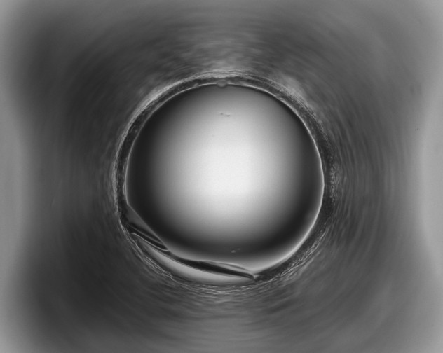 X0000097871412200803211305