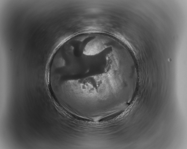 X0000097871413200803211305