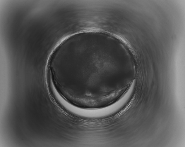 X0000097871414200803211305