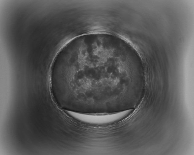 X0000097871415200803211305