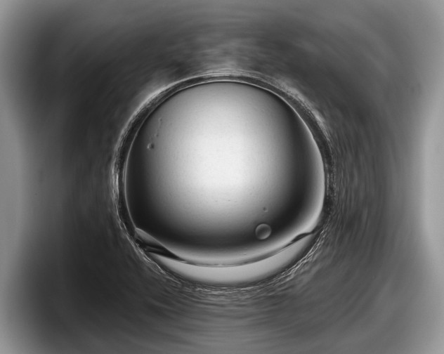 X0000097871416200803211305