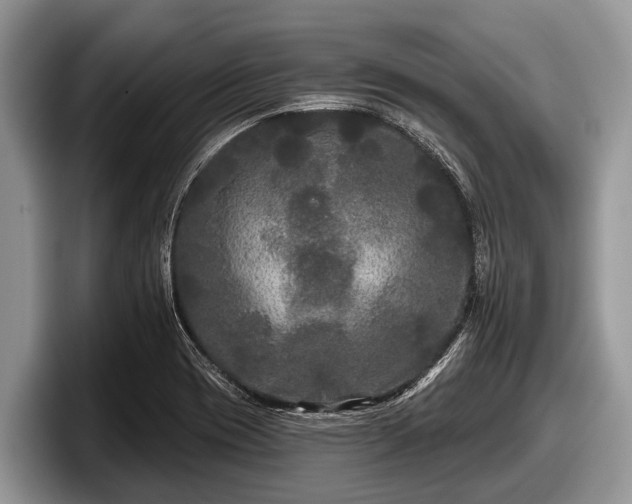 X0000097871417200803211305