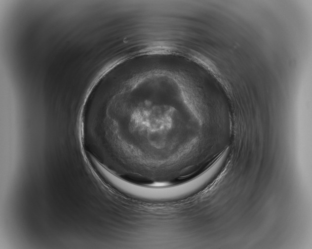 X0000097871418200803211305