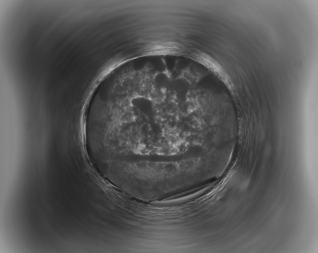 X0000097871419200803211305