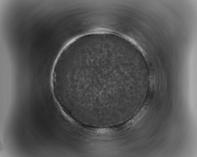 X0000097871421200803211305