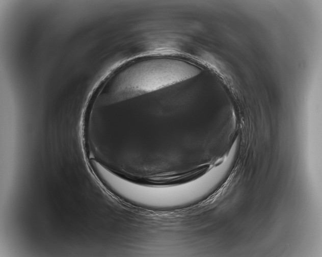 X0000097871422200803211305